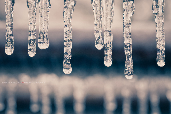 Cold Gravity | Flickr Photo Sharing! #ice #bookeh