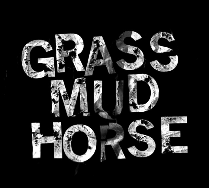 grass mud horse #typography #chinese #slogan