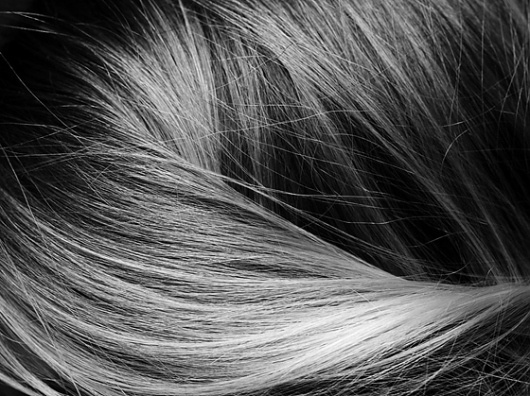PATTERNITY /// #hairs #photography