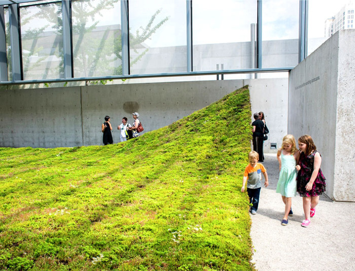 Green Varnish by Nomad Studio - #outdoor, #architecture, #landscaping, outdoor, architecture