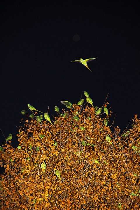 Yoshinori Mizutani | PICDIT #photo #photography