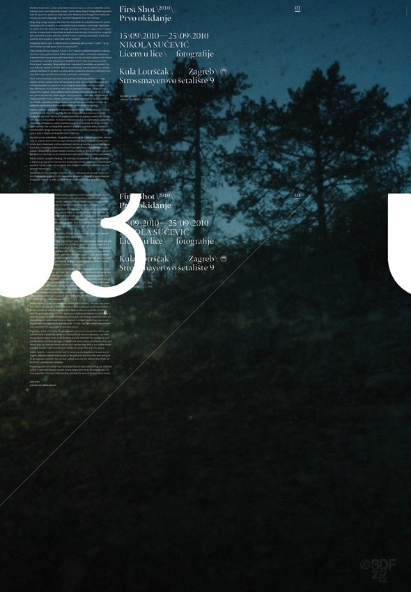 FirstShot 2010 Posters #landscape #design #graphic #typography