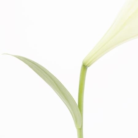 MA06