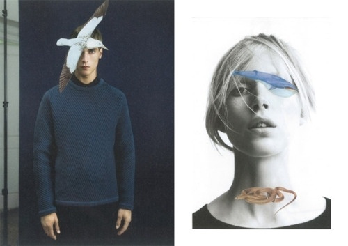 Every reform movement has a lunatic fringe #collage
