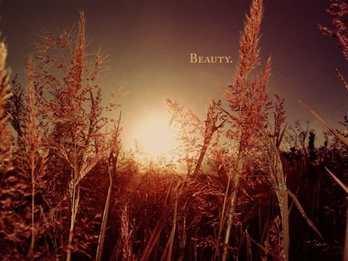 misprinted type 4.0_art, design and type (1998-2007) Eduardo Recife #photo #sunset #field
