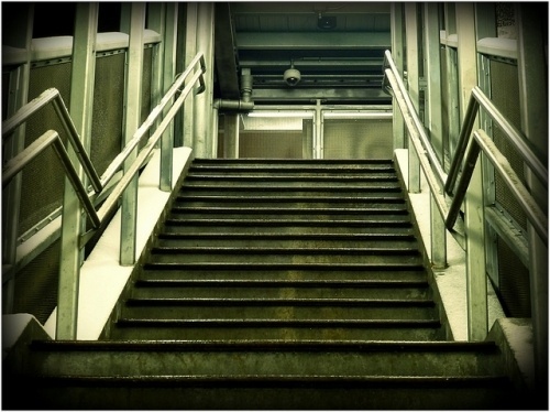 Photography by Stephanie Barto #photography