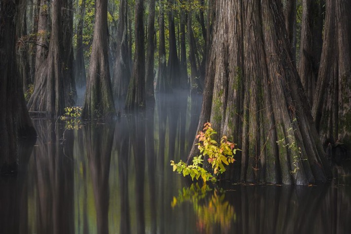 Southern USA by Thorsten Scheuermann