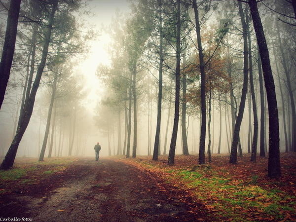 On the path #path #on #the