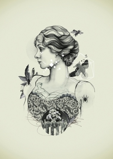 Orlagh Murphy - Core II #white #pattern #montage #drawing #black #bird #beetle #illustration #orlagh #murphy #art #collage #pencil #lady #green