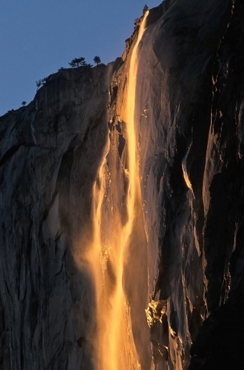 From Waterfall To Lavafall: Yosemite's Fleeting Phenomenon : The Picture Show : NPR #yellow #water #waterfall