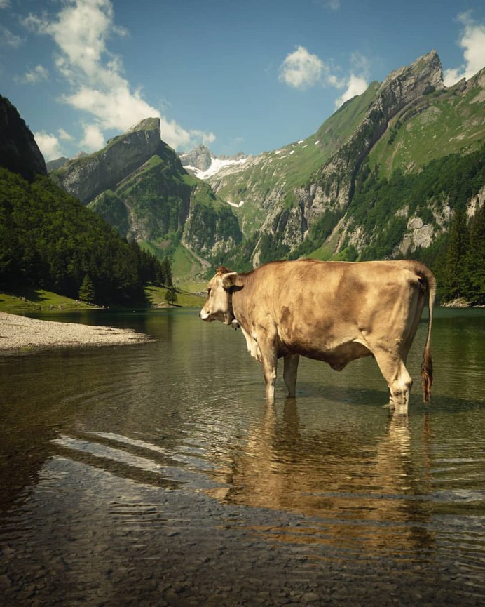 Magnificent Outdoor and Landscape Photography by Toni Butzmann