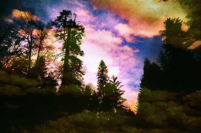 Photography by Megan Brim #inspiration #photography #art #fine