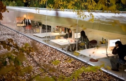 SelgasCano | An Office in the Forest #office #architecture