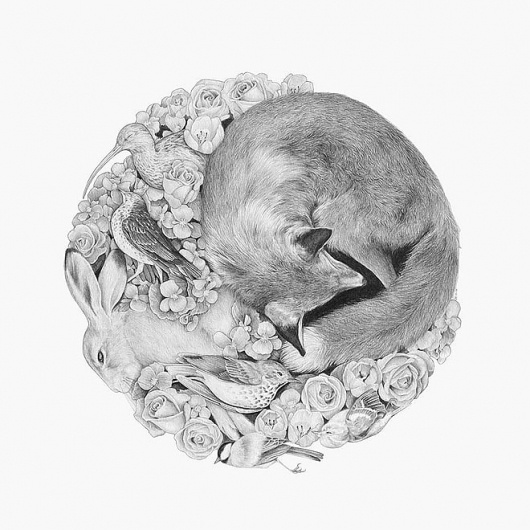 Miss Moss : Art #fox #sleeping #illustration #la #circle #rabbit #ronde #sketch