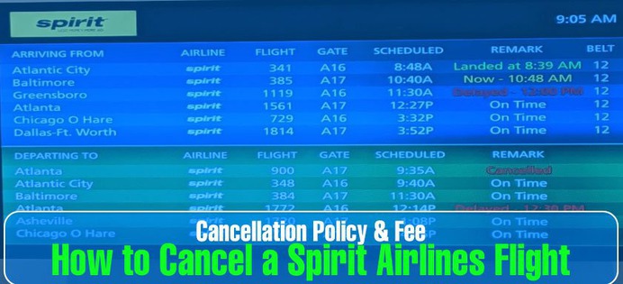 How to Cancel a Spirit Airlines Flight: Cancellation Policy & Fee