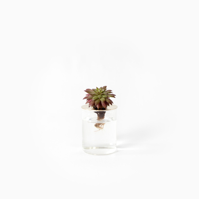 Vision Glass