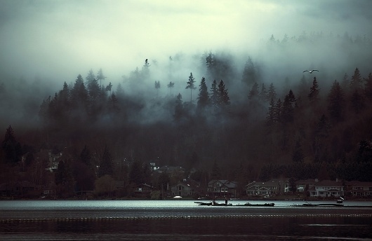 500px / Photo #photo #amazing #photography #atmosphere