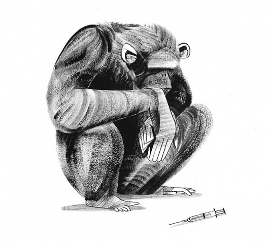 pingszoo #ny #times #sketch #monkey