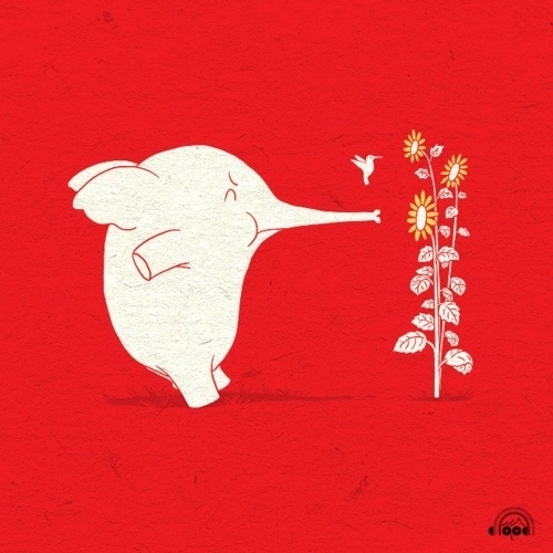 Doodle Everyday #ilovedoodle #illustration #hummingbird #elephant