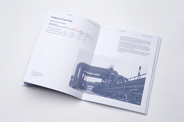 SNGP Annual Report on Behance #annual #report