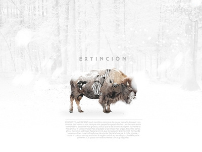 Extinción #layout