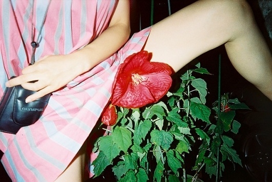 mari kojima: toothache #photography