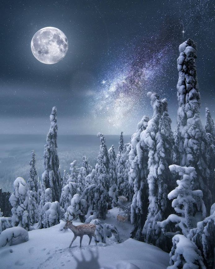 Moody and Dreamlike Photo Manipulations by Simo Niiranen