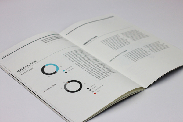 Conservation Report 2012 #scale #type #turquoise #charcoal #black #clean #grid #key #grey #report #blue #typography