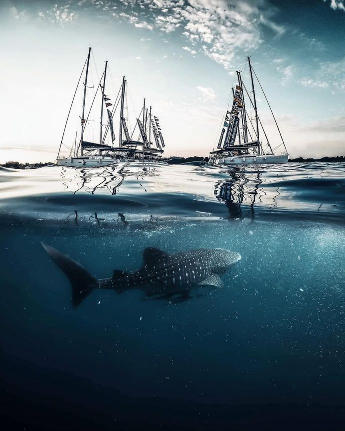 #theuniversalart: Dreamlike Photo Manipulations by Michael Thor