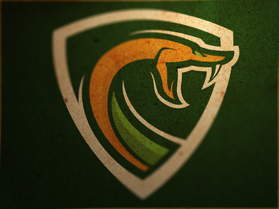 Orlando Vipers #viper