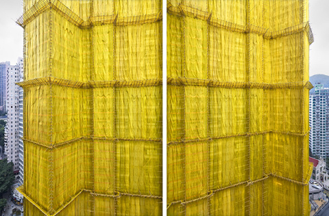 Peter Steinhauer | PICDIT #yellow #photo #photos #photography