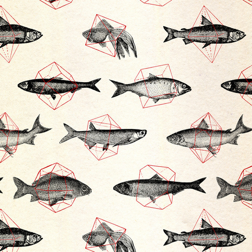 #fish #geometry #geometric