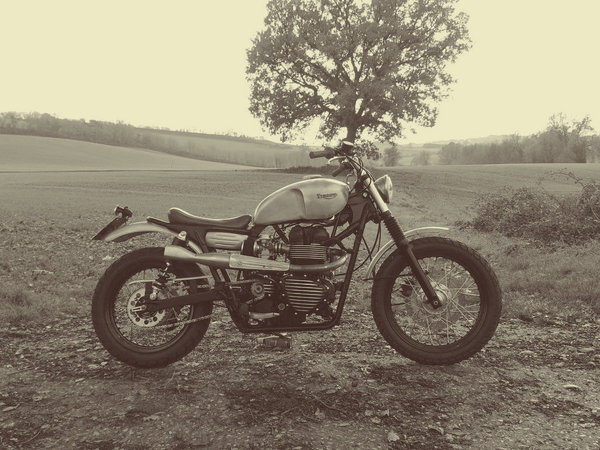 8negro #scrambler #motorcycle #triumph