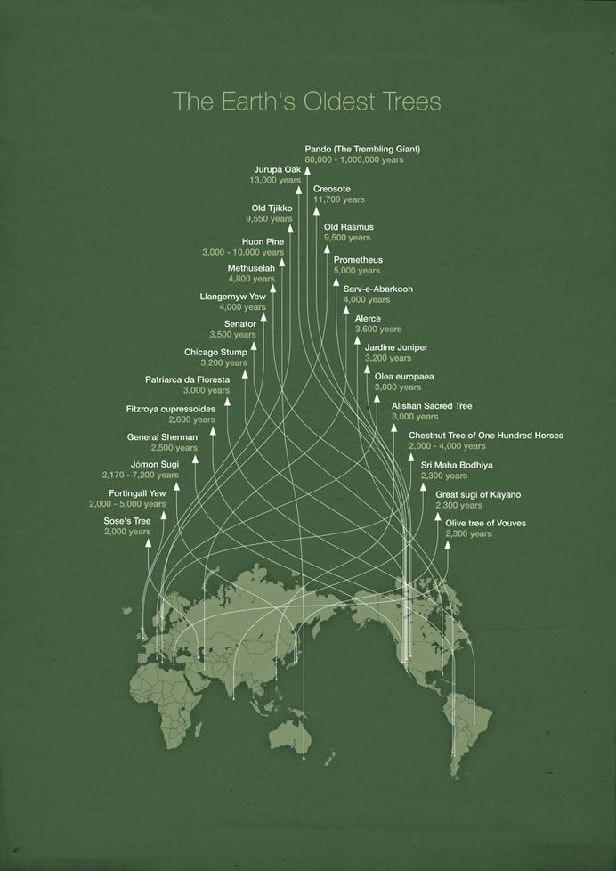Infographic