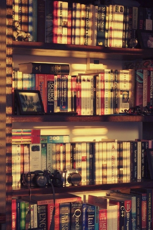 Tumblr #interior #shelve #book