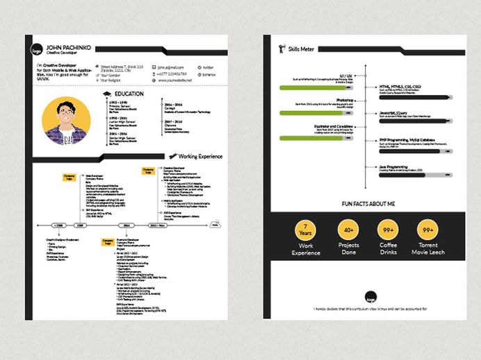 Pachinko Resume - Free Creative Resume Template in 2 Pages