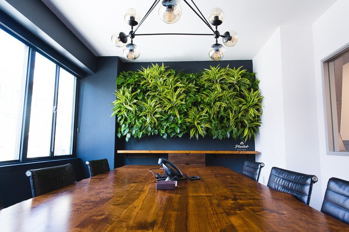 Kirschenbaum Law - Living Wall