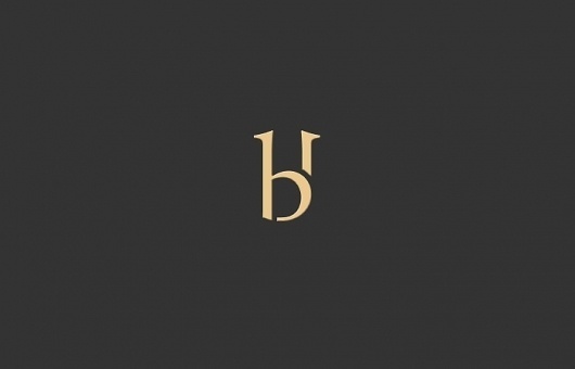 six15 Project Details | Web Design Portfolio | Chris Walker #houghton #six15 #brand #logo #bridge