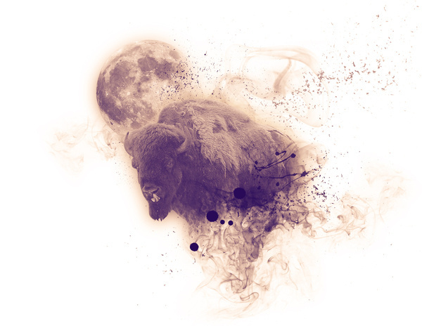 Animals on the Behance Network #collage