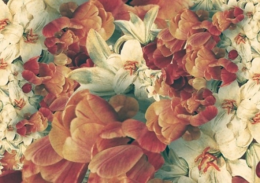 Another Something & Company #flowes
