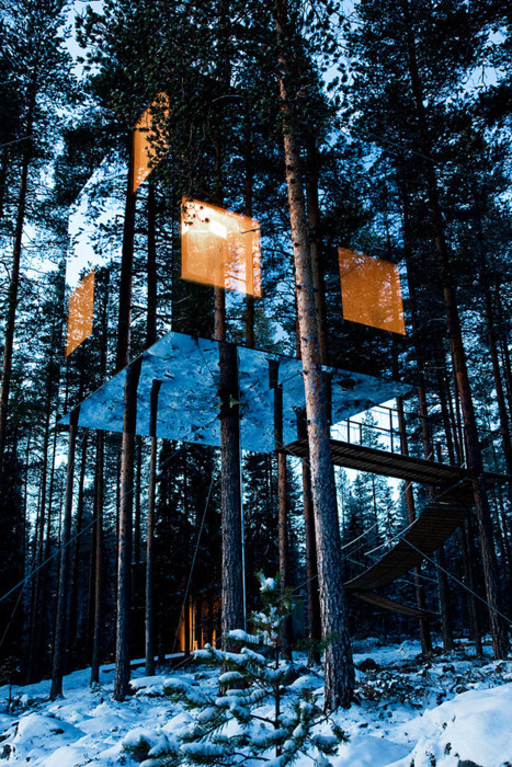 Pinned Image #mirror