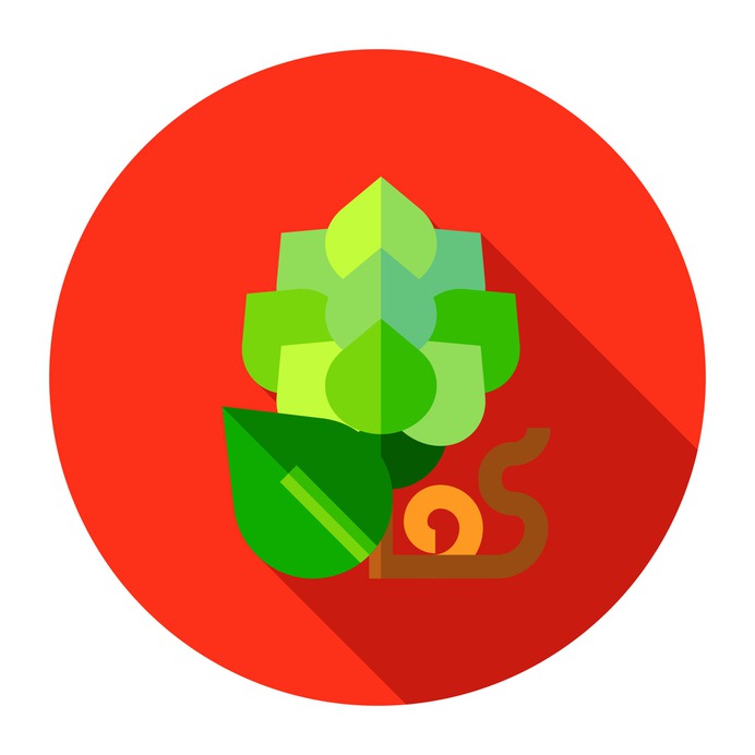 See more icon inspiration related to hop, beer, food and restaurant, organic, plant and nature on Flaticon.