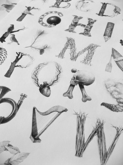 May on Typography Served #illustrated #konvica #by #jakub #type