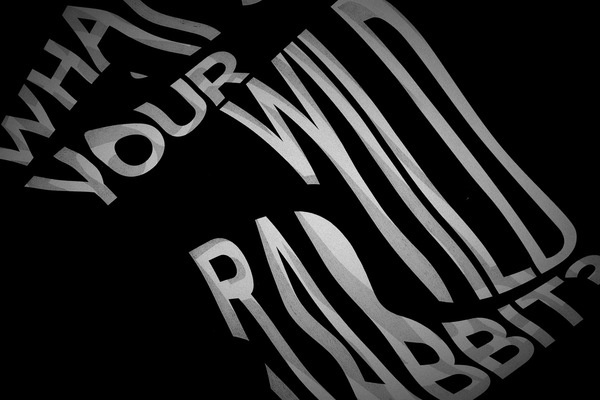 Craig Ward / The Words are Pictures Studio #wild #lettering #advertising #ward #hennessy #rabbit #craig #typography
