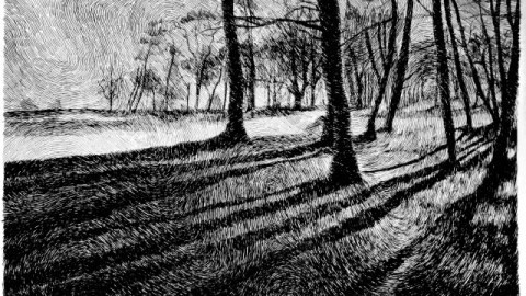 "Fingerprint" Ink Drawings by Nicolas Jolly | PICDIT #drawings #ink #white #design #black #art #drawing