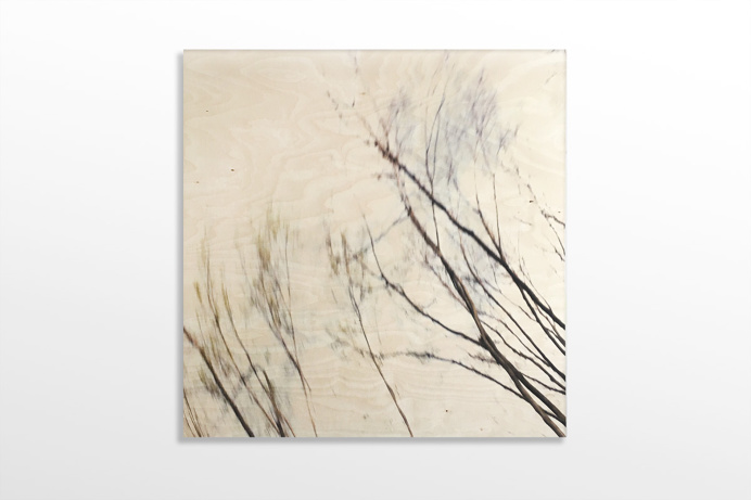 #bindermartin.com #wood #birch # birch tree #printing on wood #art #woodart #photography