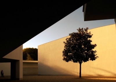 Minimalist design celebrated and curated by Minimalissimo #architecture #tree #museum