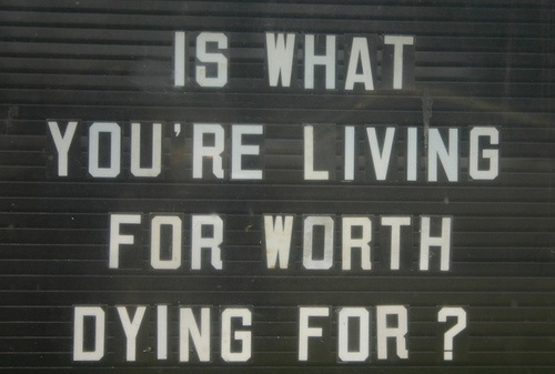 CarpeÂ diem! #quote #type