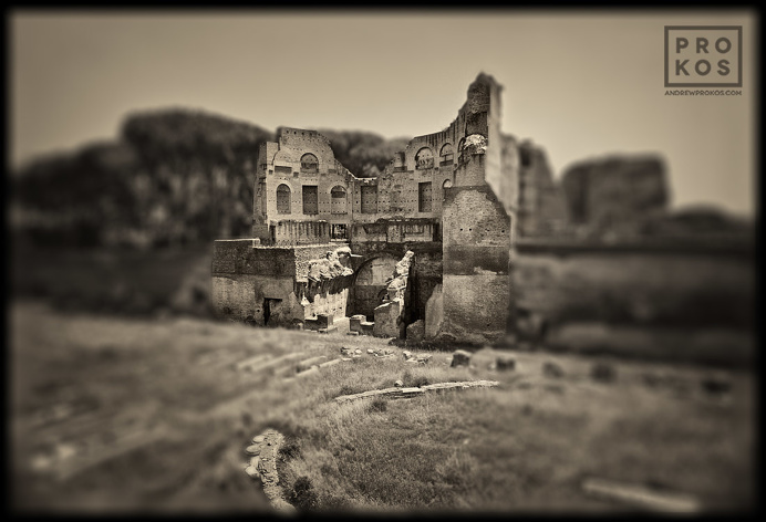Forum Romanum - Black and White Fine Art Series by Andrew Prokos