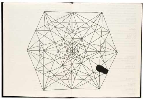 Freaky Fauna's Tumblr #design #geometry #book